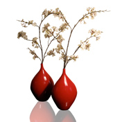 Red and White